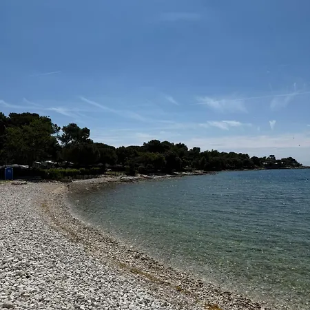 Sea 1- Small * Pola